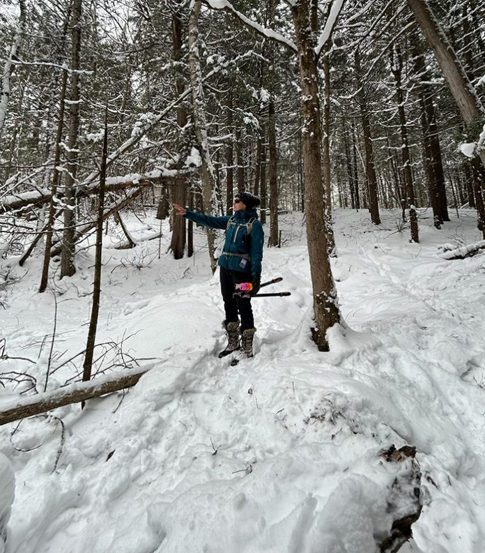 7. Ski Pontiac update