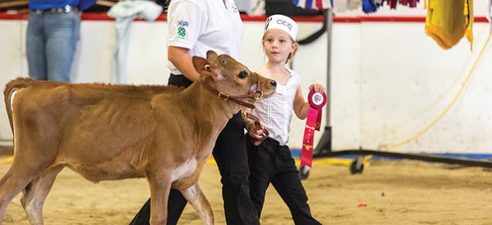 8. Shawville Fair
